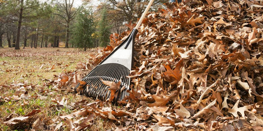 person raking fallen leaves into a pile in fall