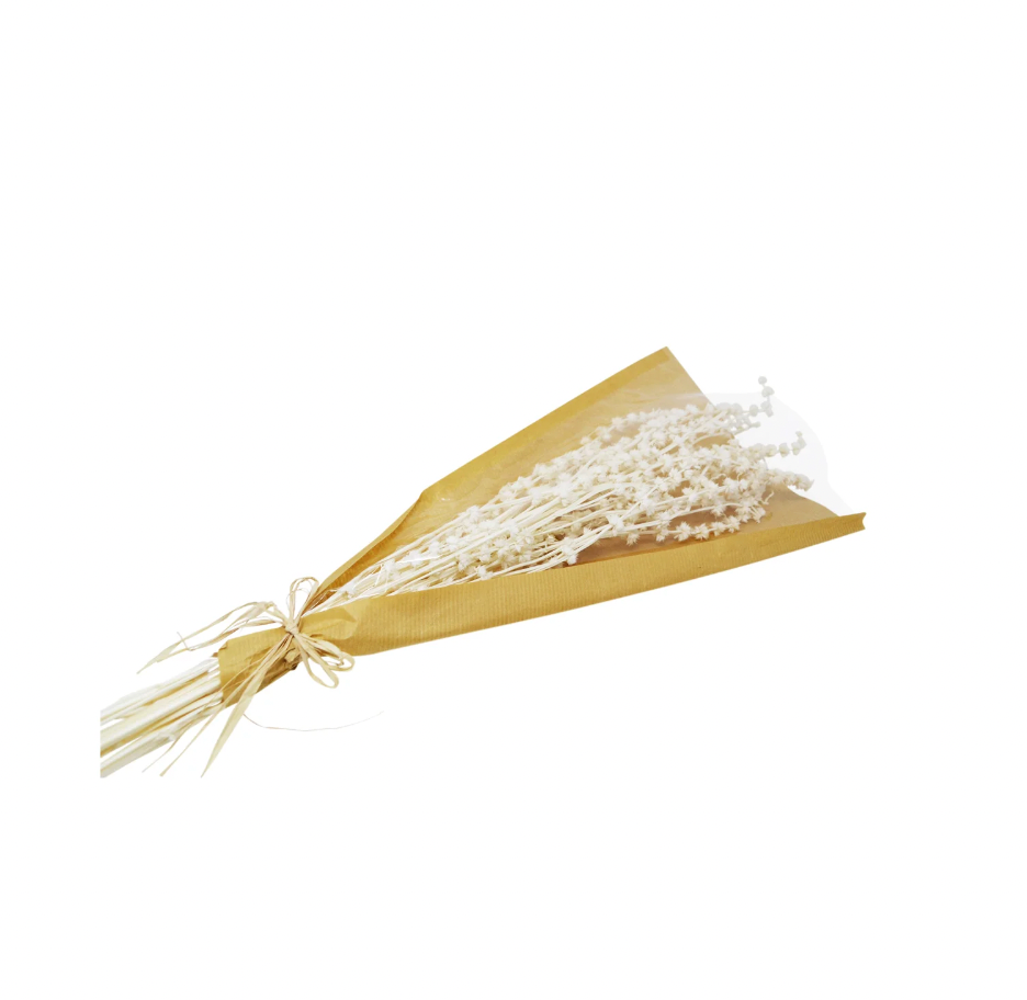 Bunch fo Dried White Grass