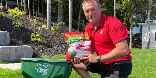 man holding fall lawn seed