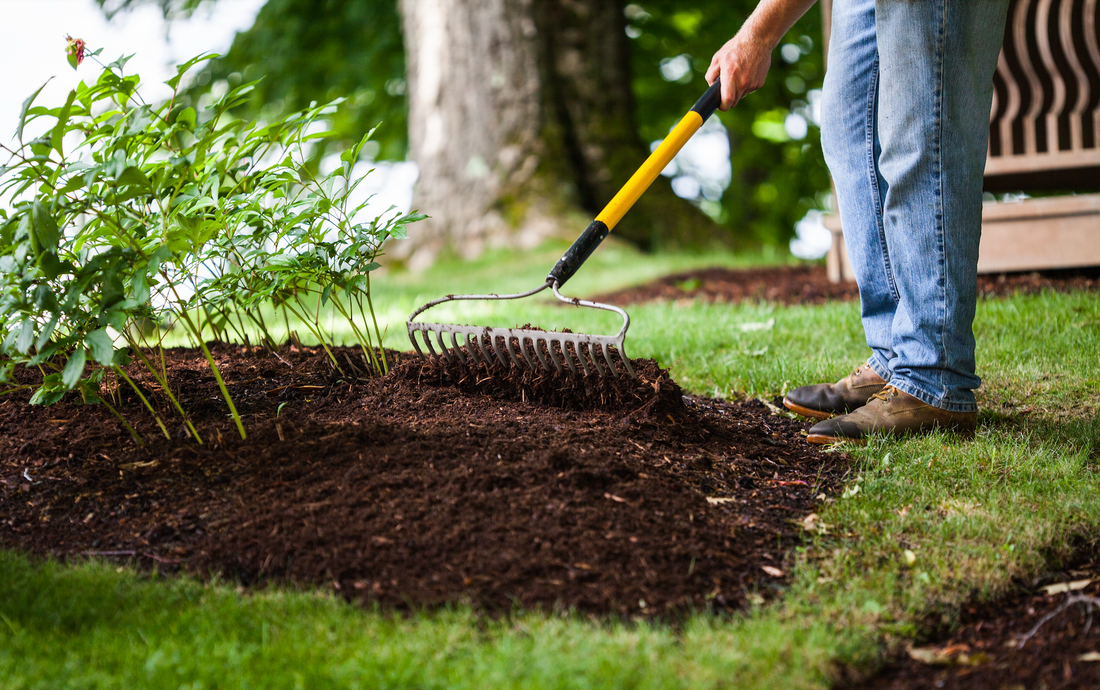 raking garden soil