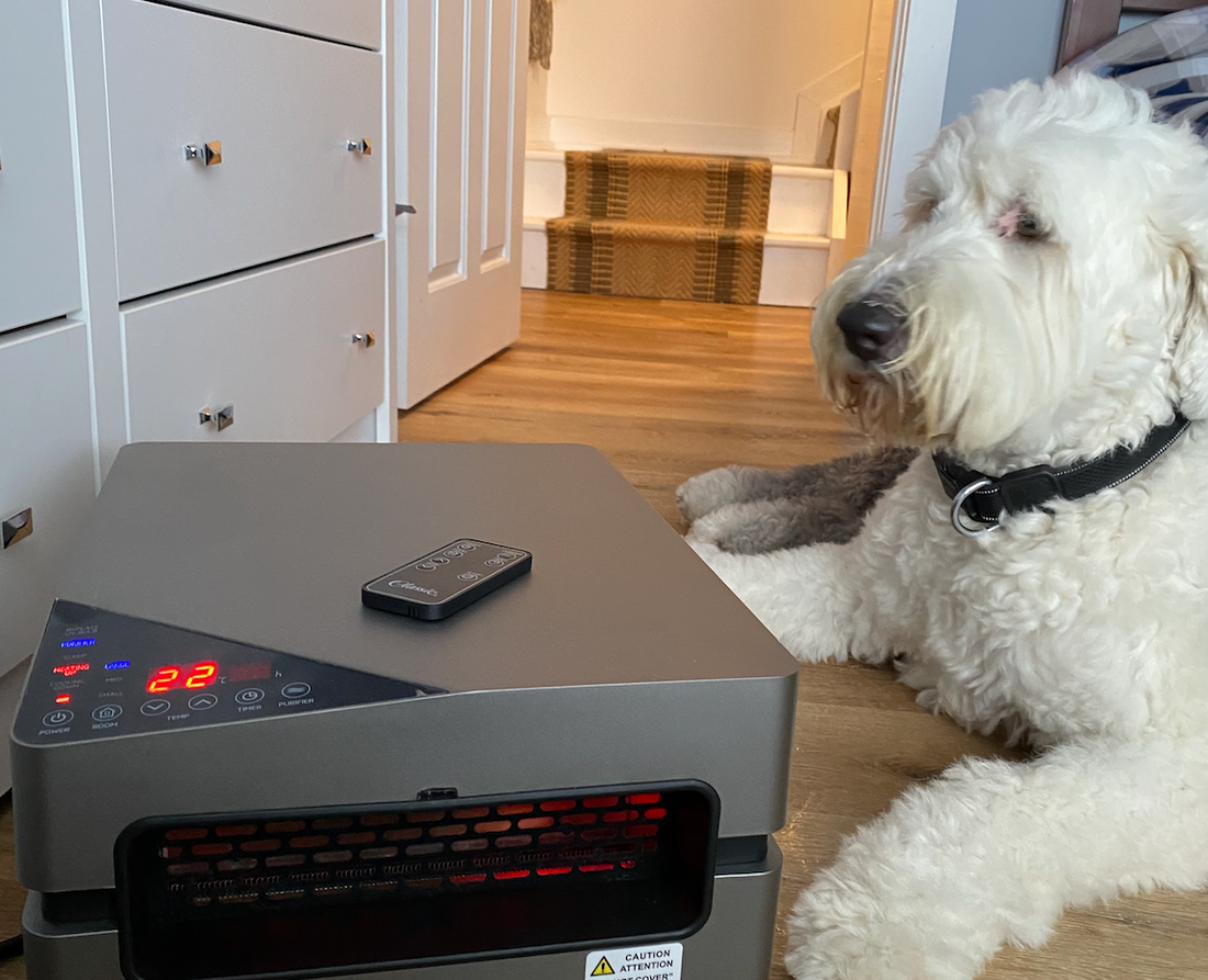 white fluffy dog infront of a space heater 