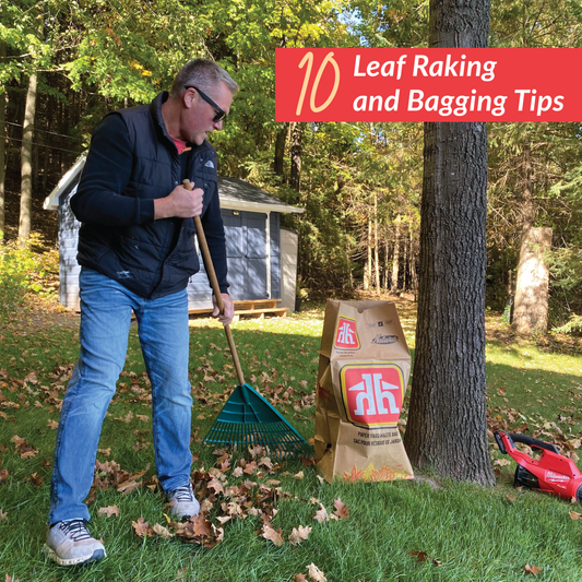 raking the leaves