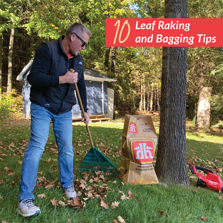 10 Leaf Raking and Bagging Tips Bobcaygeon Home Hardware